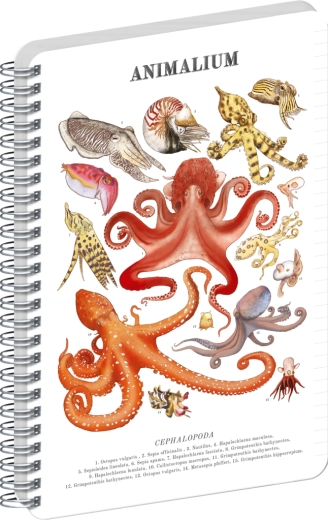Notique spiraalblok Animalium – koppotigen, gelijnd, A5