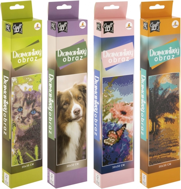 Diamantschilderij 30x30 cm