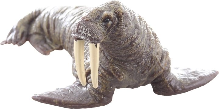 Ideaal om te leren en te verzamelen