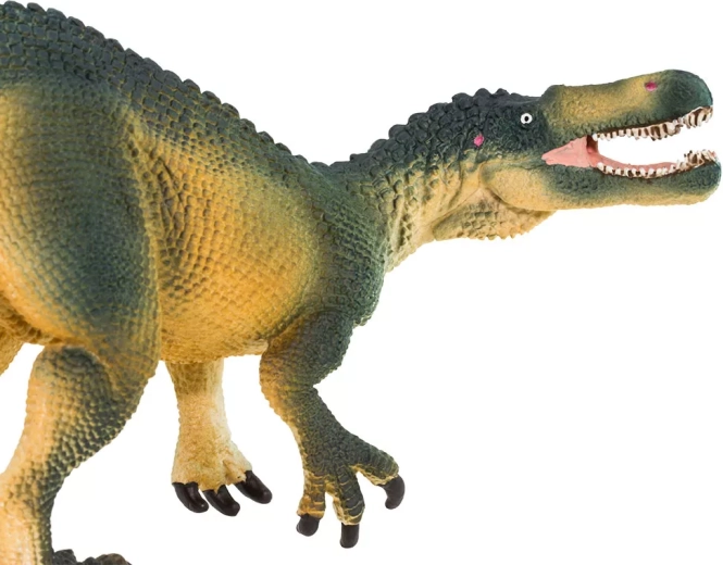 Getrouwe details van Suchomimus