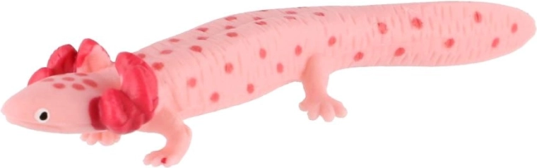 Typisch uiterlijk van de axolotl