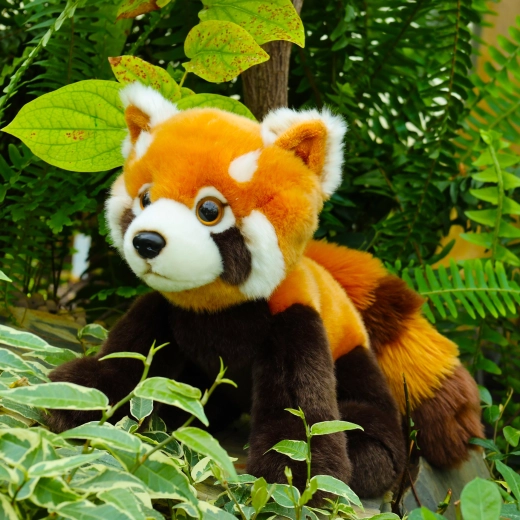 Realistische details van de rode panda