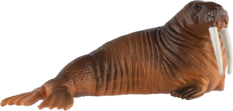Realistisch uiterlijk van de walrus