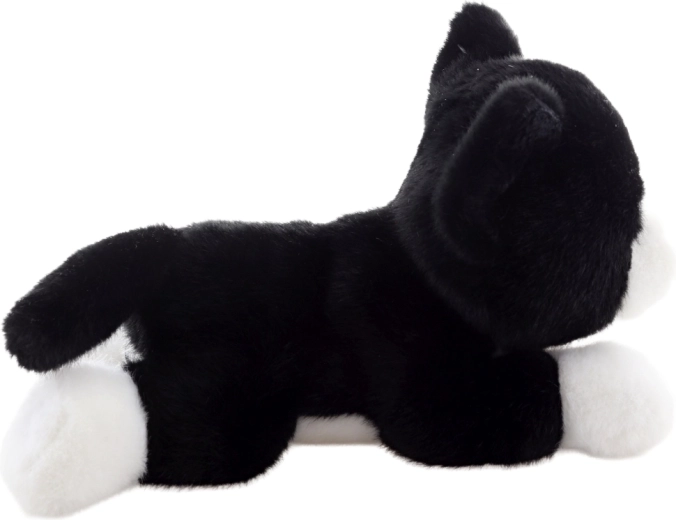 Licht en ideaal voor onderweg