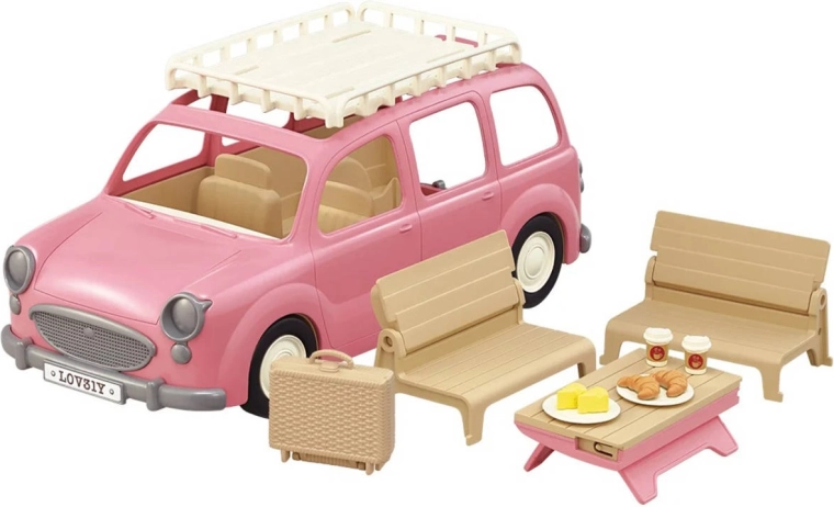 Auto en picknick in één