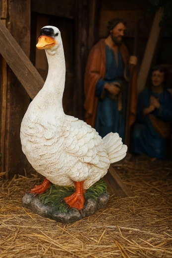 Stabiele basis voor veilig plaatsen