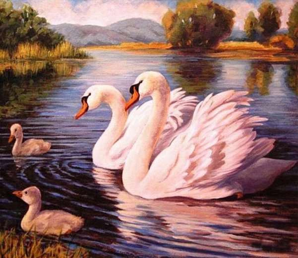 Norimpex Schilderen op nummer Zwanen 40 × 50 cm