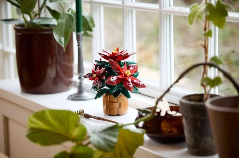 Decoratie zonder water geven voor thuis en op kantoor
