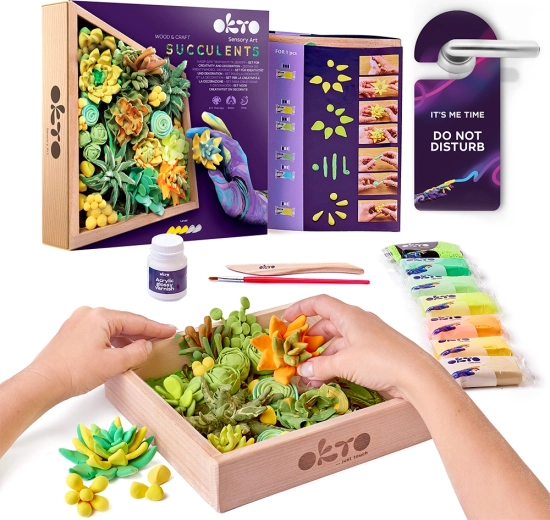 OKTO Energy creatieve boetseerset met vetplanten in een houten lijst