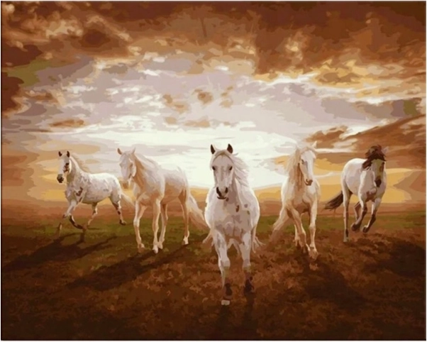 Schilderen op nummer in lijst 50 × 40 cm paarden in galop