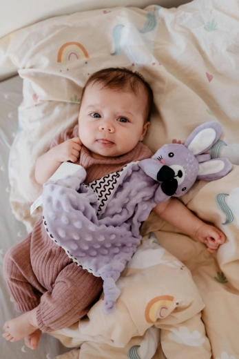 Kalmerende minky met 3D stippen