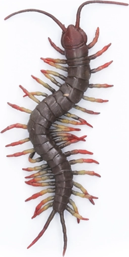 Grote rubberen duizendpoot van 23 cm