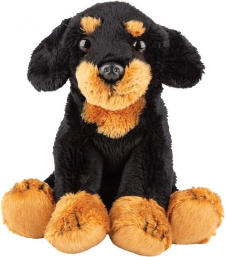 Pluchen hond Teckel
