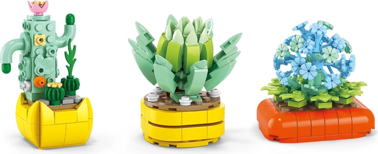 Cactussen en vetplanten zonder verzorging