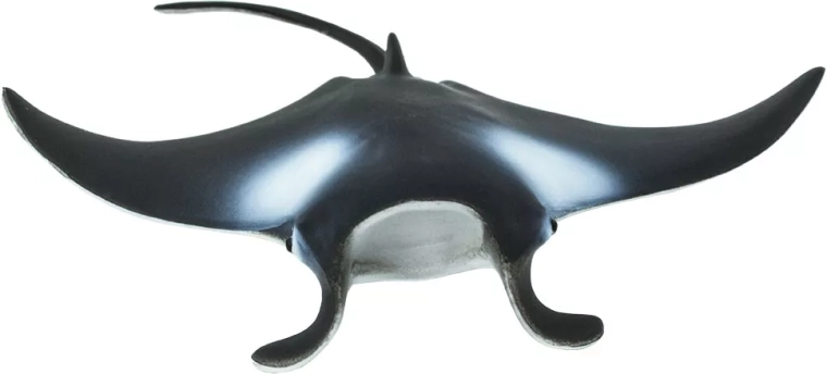 Ideale grootte voor een kinderhand en voor een verzameling