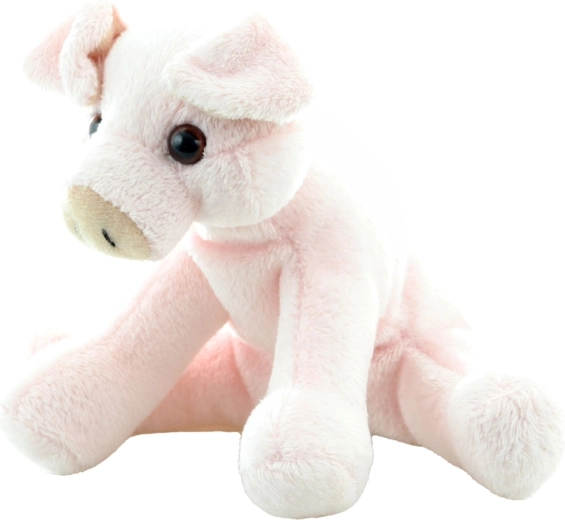 Compact formaat 14 cm