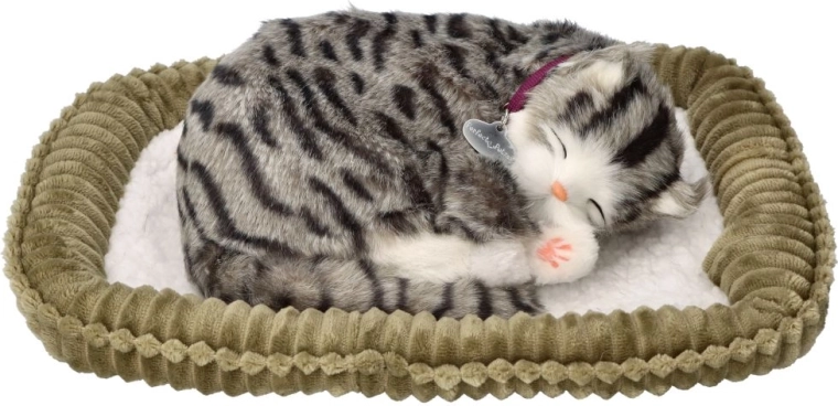 Adopteer mij ademend grijs gestreept katje