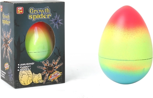 Groeispin uit ei 12 cm