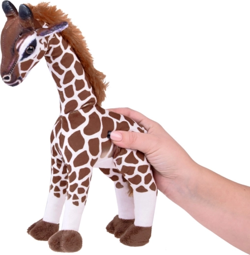 Stabiele houding voor spel en decoratie