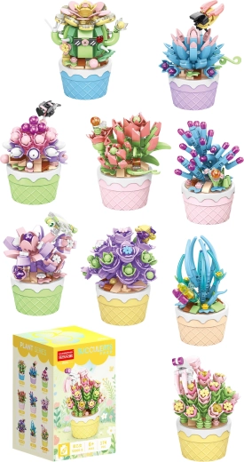 Florist vetplanten in sierpotten (9 soorten) - 1 stuk