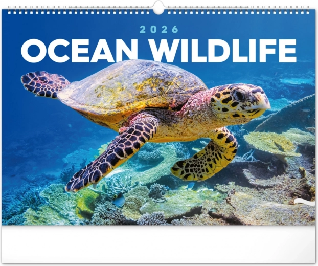 Wandkalender Onderwaterwereld 2026