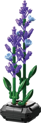 CaDA lavendelbloem in bloempot 1:1