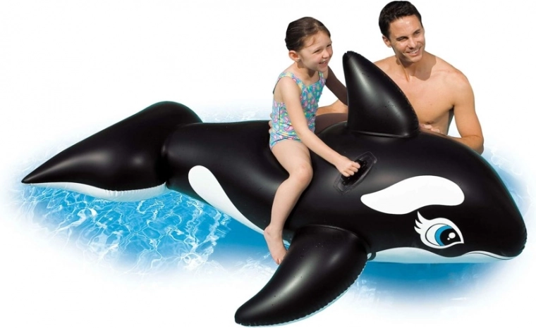 Grote orka voor zomers waterplezier