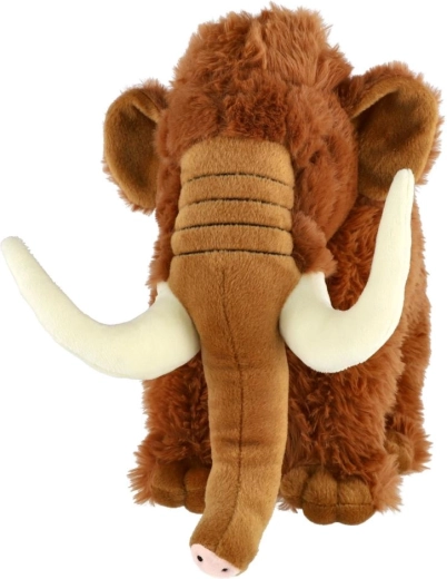 Uiterlijk uit de prehistorie