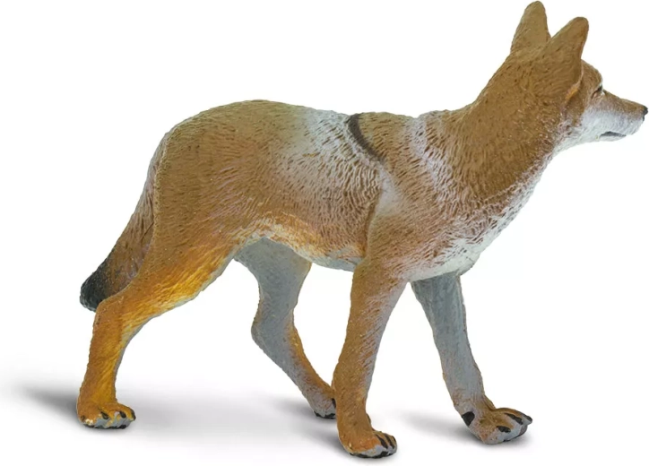 Natuurgetrouwe weergave van een coyote