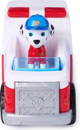 De authentieke wereld van Paw Patrol