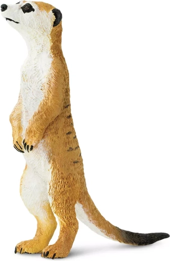 Safari Ltd. figuur van een stokstaartje