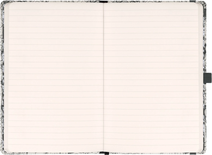 172 gelijnde pagina’s voor dagelijks schrijven
