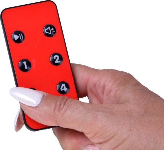 Afstandsbediening en 4 snelheden