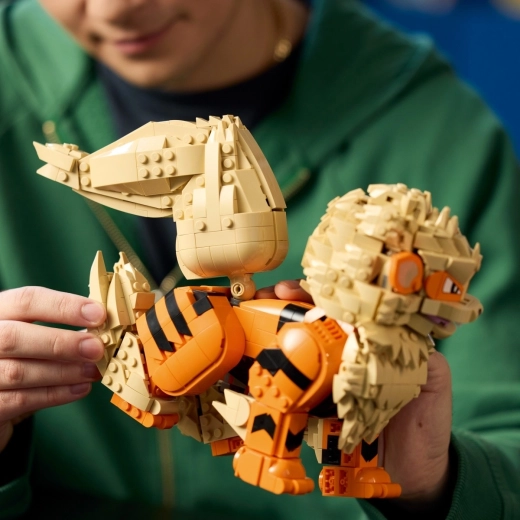 Bouwen met de LEGO Builder-app