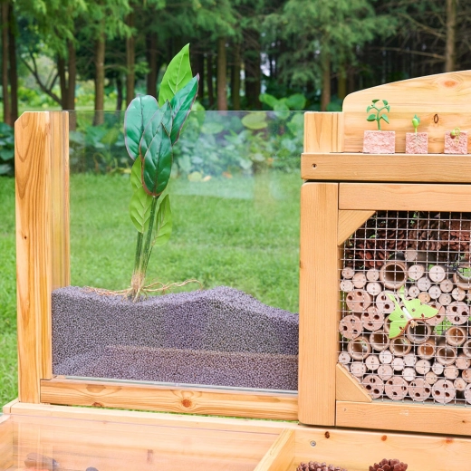 Wortelpaneel: volg de groei van planten in real time