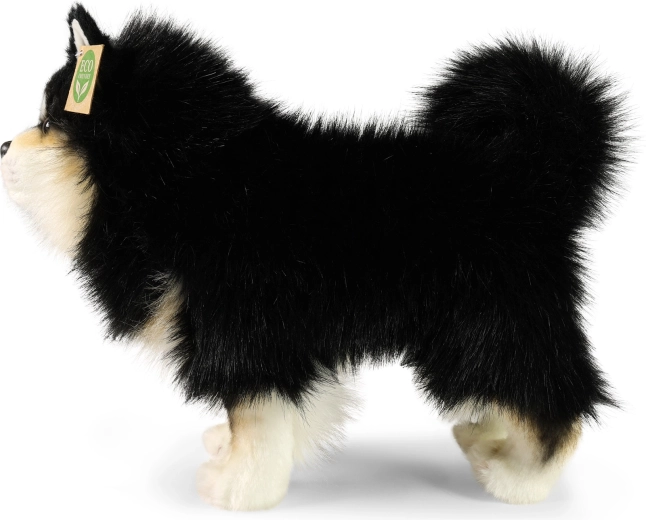 Zijdezachte vacht voor eindeloos knuffelen