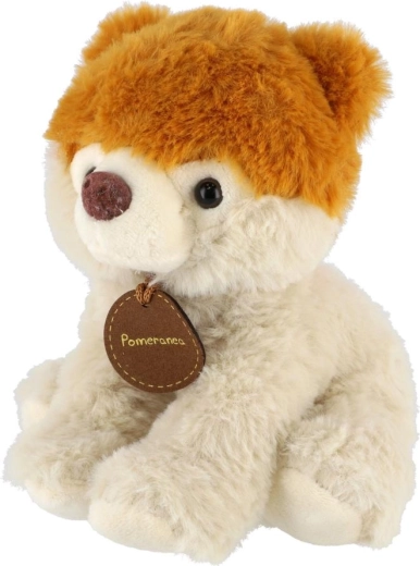 Gevarieerde mix in een verpakking van 10 stuks