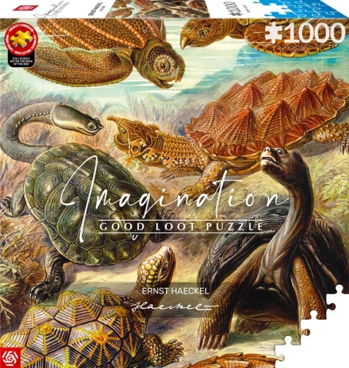 GOOD LOOT Puzzle Imagination: Ernst Haeckel – zeeschildpadden, 1000 stukjes