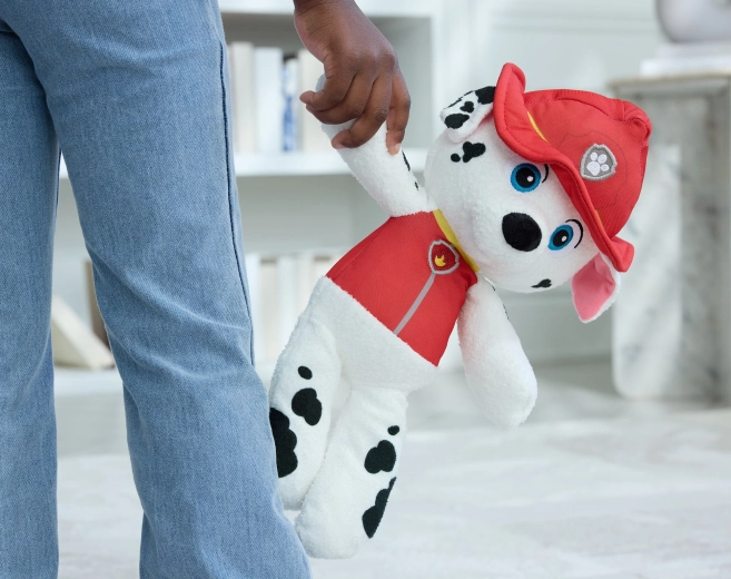 Voor kleine Paw Patrol-fans