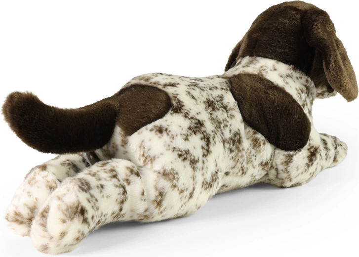 Veilig vanaf de geboorte