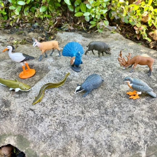 9 Europese dieren om spelenderwijs te leren