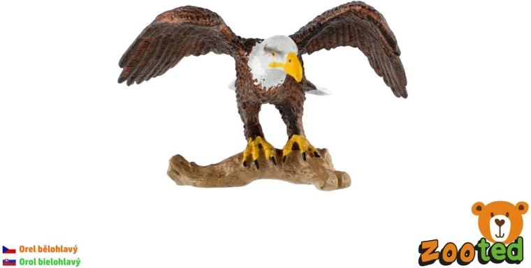 Figur van een Amerikaanse zeearend