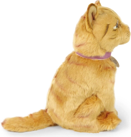 Schattige zittende gestreepte kat
