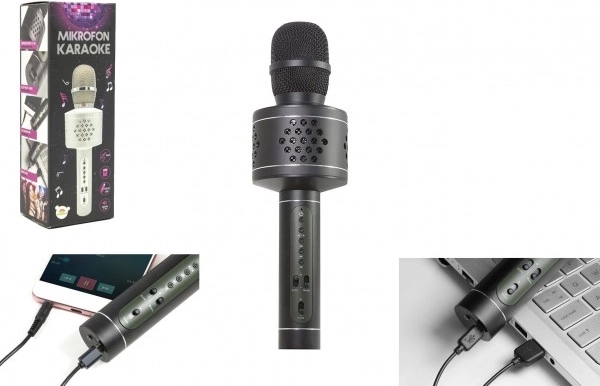 Karaoke-microfoon met Bluetooth, speakers en echo-effect – zwart