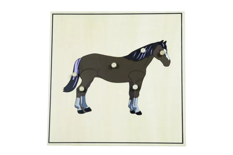 Puzzel met skelet – paard