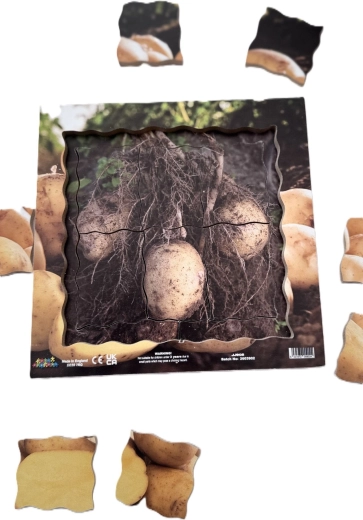 Houten puzzel in een frame