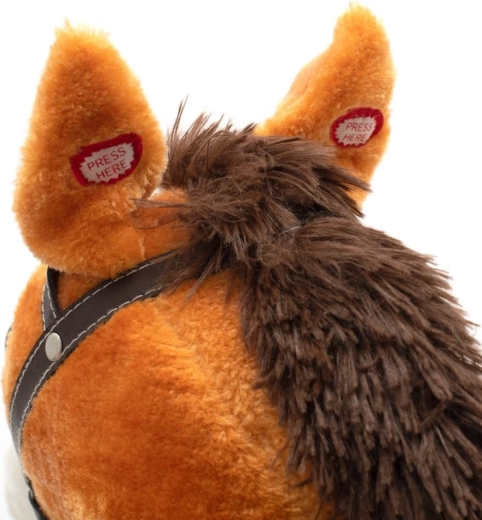 Interactieve oren met geluiden en melodie