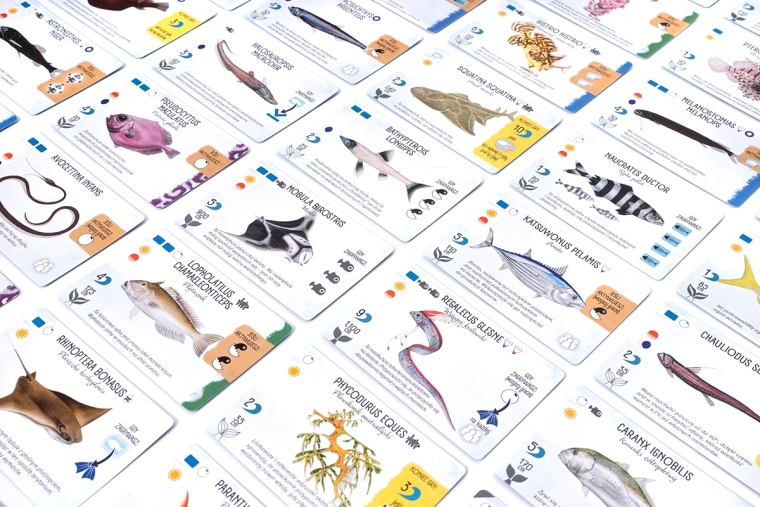 Kaarten van zeedieren met overzichtelijke iconen