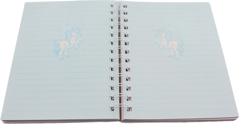 80 gelinieerde bladen in twee kleuren