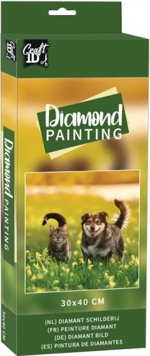 Diamant schilderen Vrienden in de weide 30x40 cm